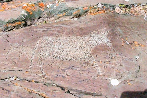 Petroglyphs in Khar Salaa