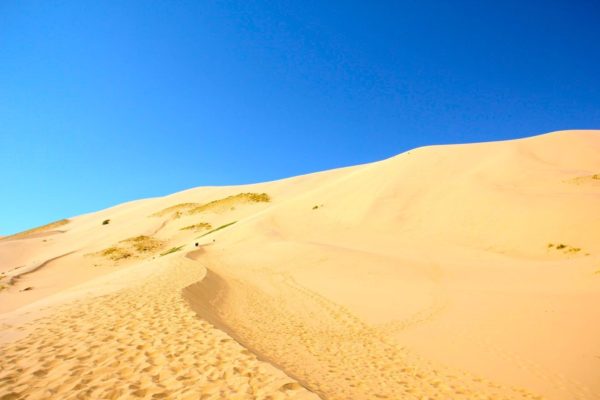 Khongor Sand dunes