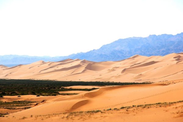Khongoriyn Sand dune
