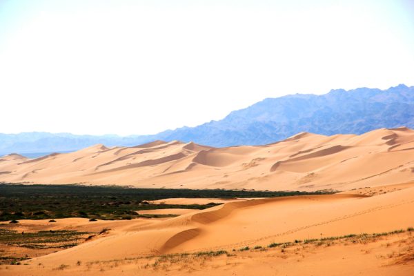 Khongoriyn Sand Dunes