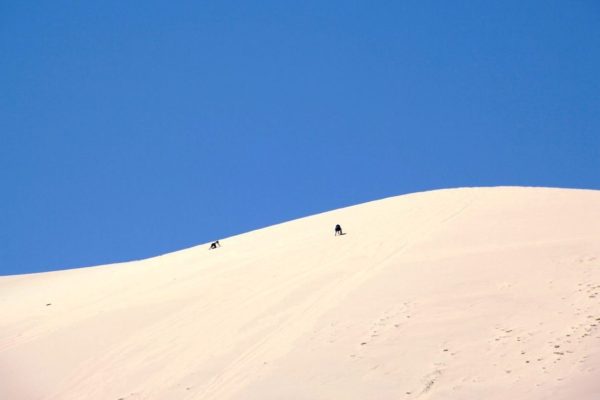 Singing dune in Khongor sand dune