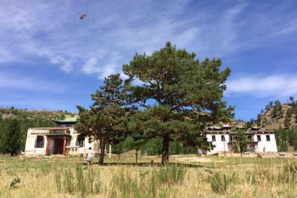 Baldan Bereewen Monastery Environment