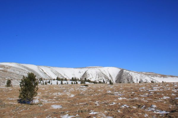 Burkhan Khaldun mountain