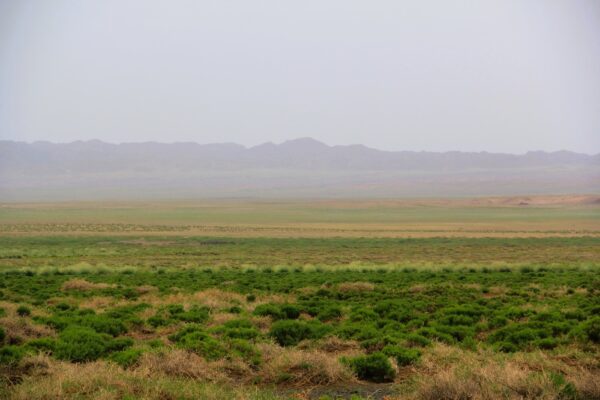 Gobi Three Beauties National Park