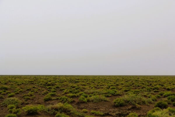 Rainy Summer in Gobi Three Beauties National Park