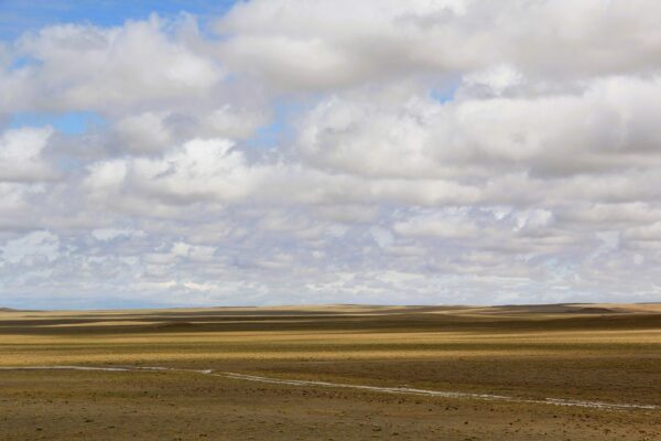 Rainy Summer in the Gobi