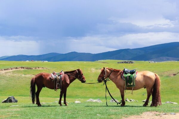 Grand Tour Mongolia