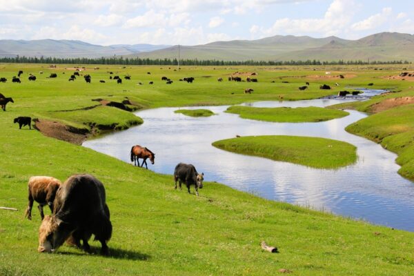 Orkhon Valley