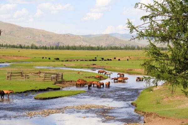 Orkhon Valley