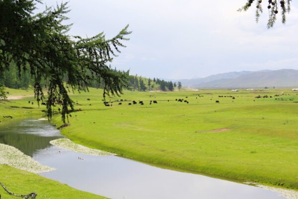 Orkhon Valley