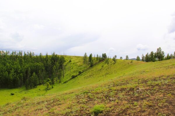 Uran Togoo Crater Edge