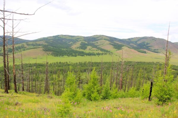 Hiking to Uran Togoo mountain