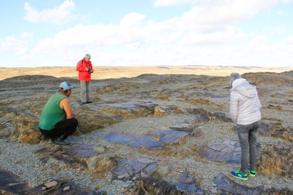 Petroglyphs in Mongolia