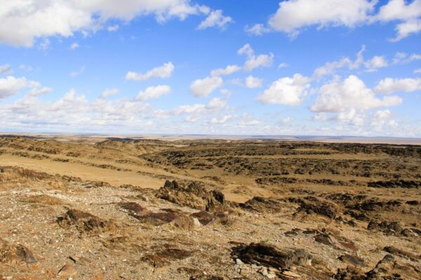 Petroglyphs in Mongolia