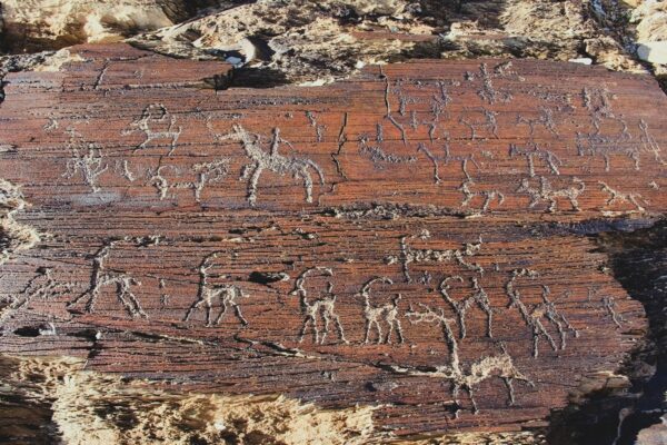 Petroglyphs in Mongolia