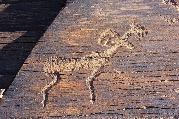 Del Mountain Petroglyphs