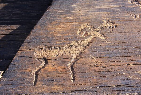 Del Mountain Petroglyphs