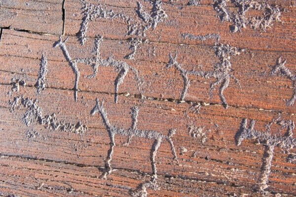 Del Mountain Petroglyphs