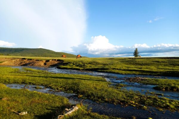 Northern Mongolia View