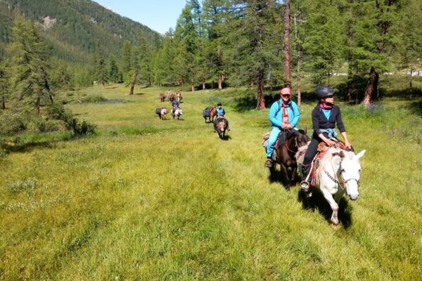 Horseback riding in Khovsgol Lake NP