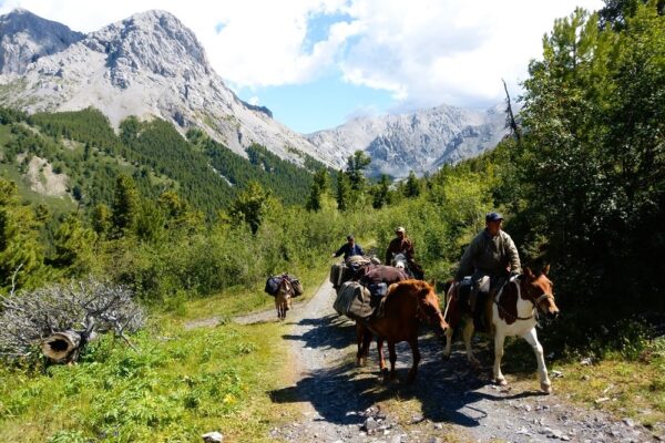 Horseback riding in Khovsgol Lake NP