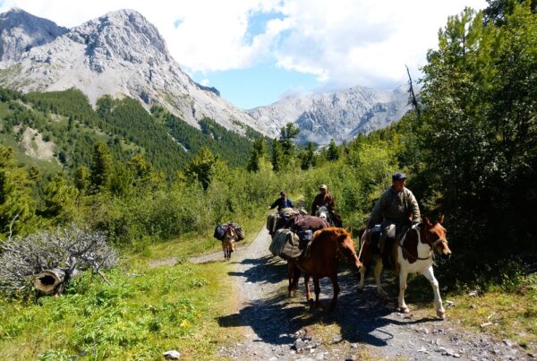 Horseback riding in Khovsgol Lake NP