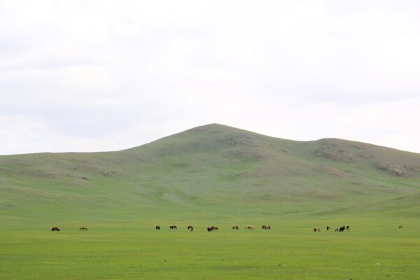 'Central Point of Mongolia' in Uvur Khushuut, Burd Soum, Uvurkhangai.