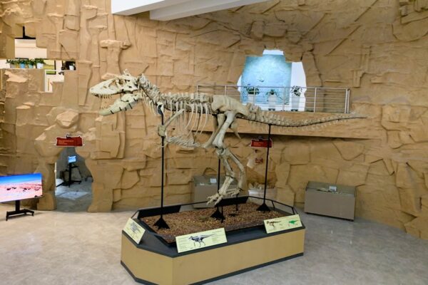 Tarbasaurus in Gobi Museum