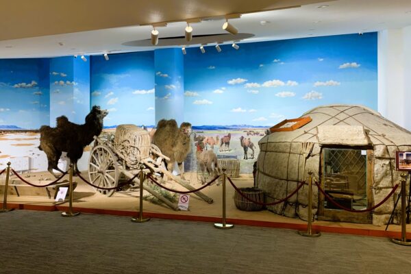 Gobi Museum of Nature and History