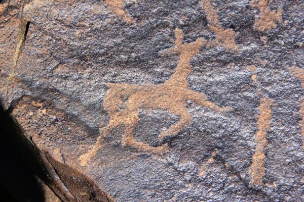 Petrolyphs in the Gobi Mongolia