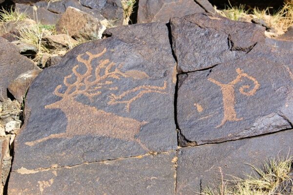 Deer Paint -Petrolyphs in Khavtsgait